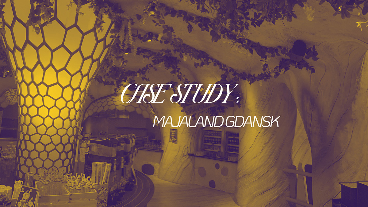 Read more about the article Case Study: Majaland Indoor